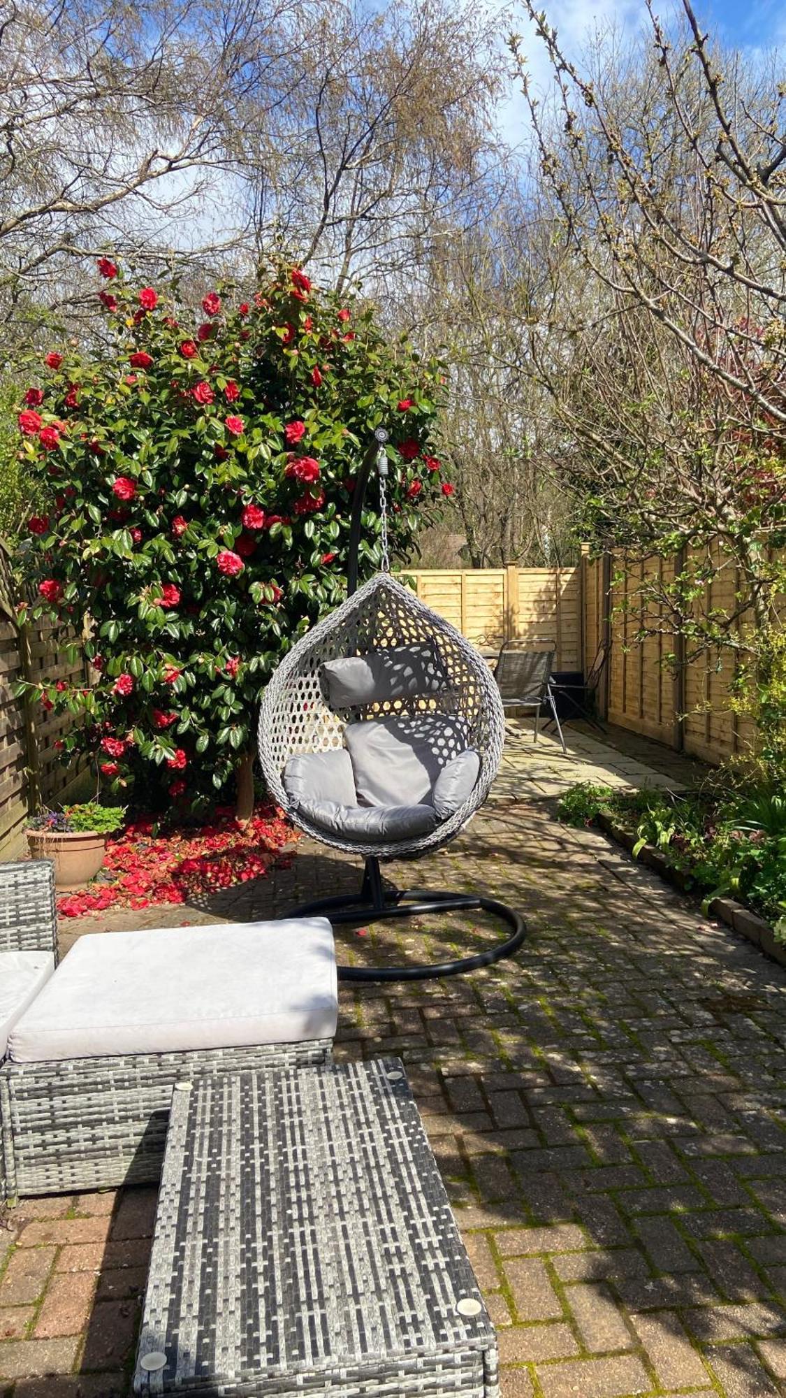 Beautiful Bexhill Cottage With Garden 3 Mins Walk To Beach المظهر الخارجي الصورة